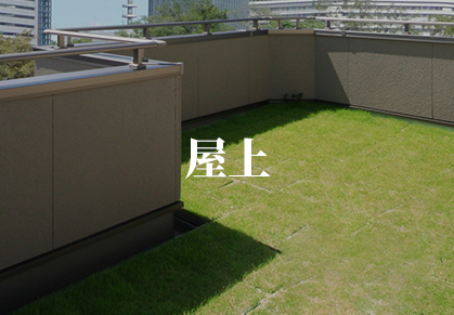 屋上