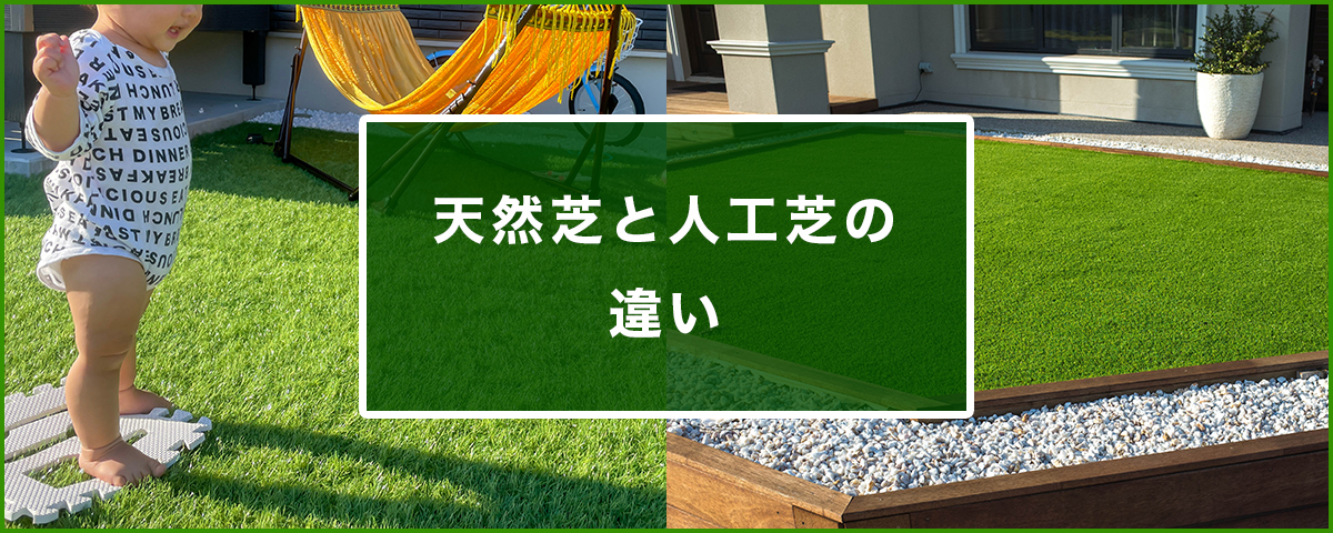 天然芝と人工芝の違いをイメージした写真