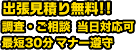 人口芝のことから芝刈り・つた取りまで対応