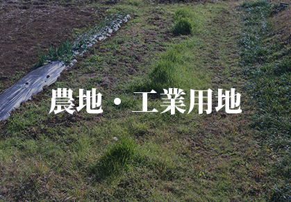 人工芝の施工事例4