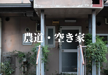 人工芝の施工事例6