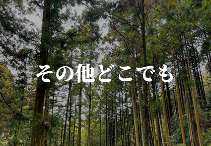 人工芝の施工事例8