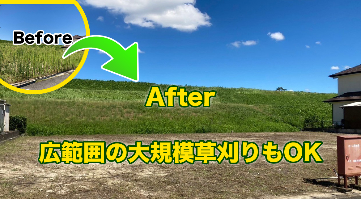 駐車場の人工芝施工事例