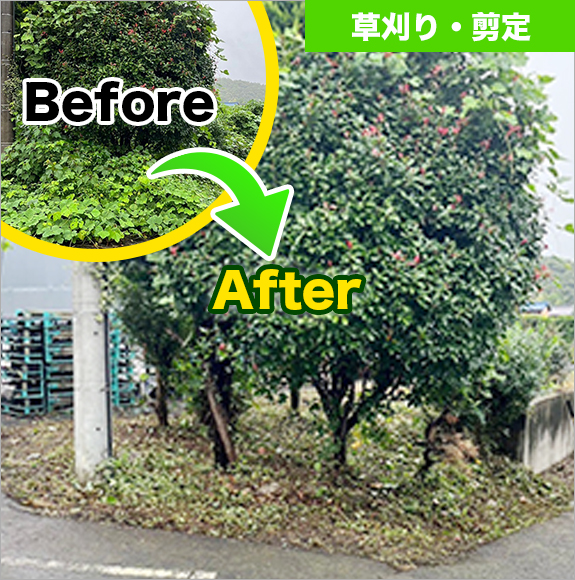 施工ビフォーアフター事例 1