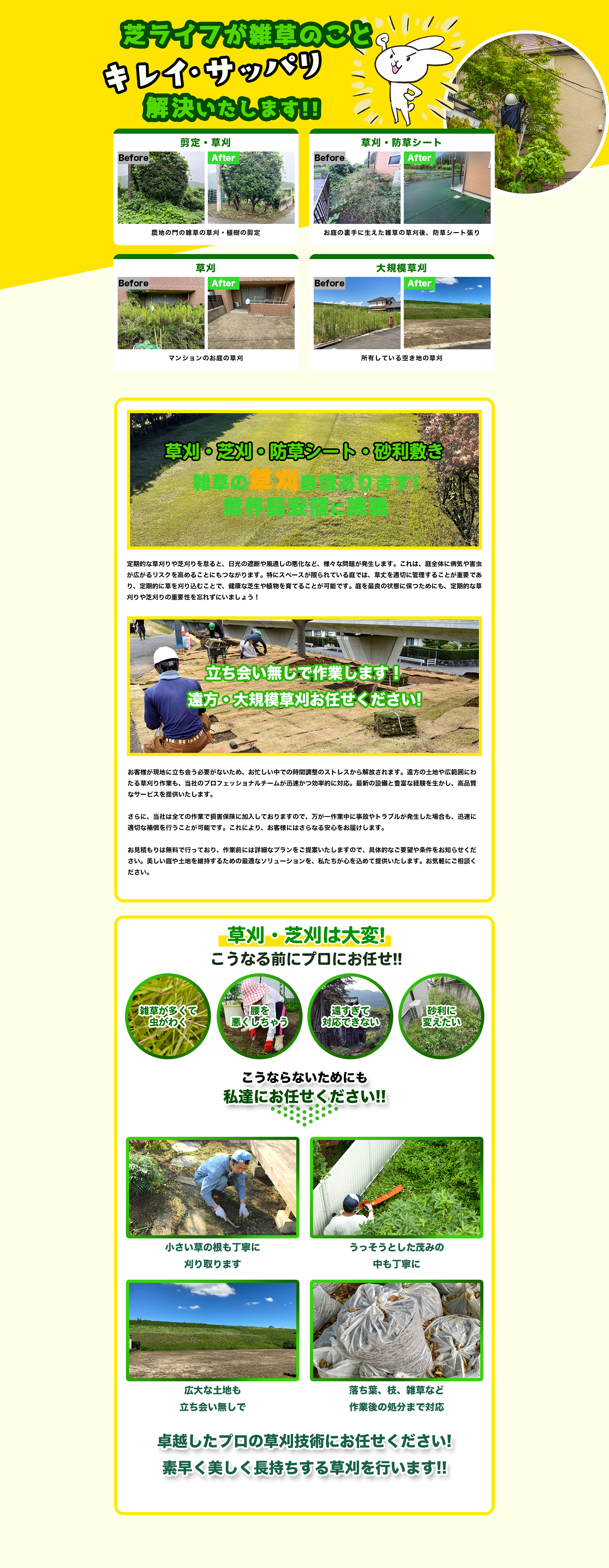 解決