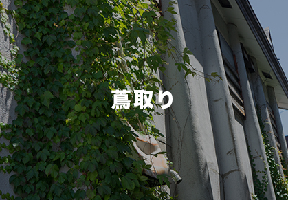 サービス6