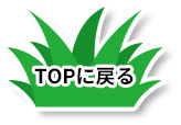 ページTOP